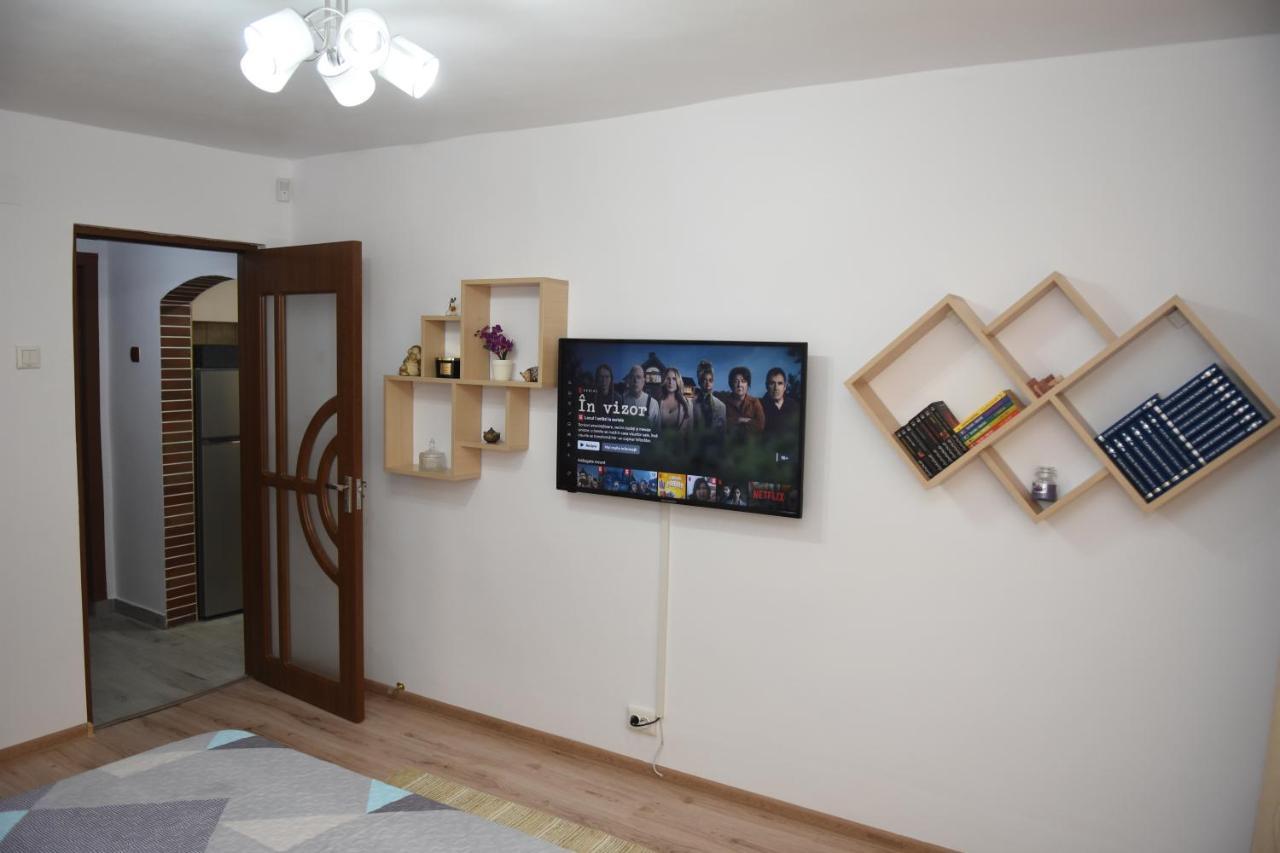 1St Apartment Nehoiu Extérieur photo