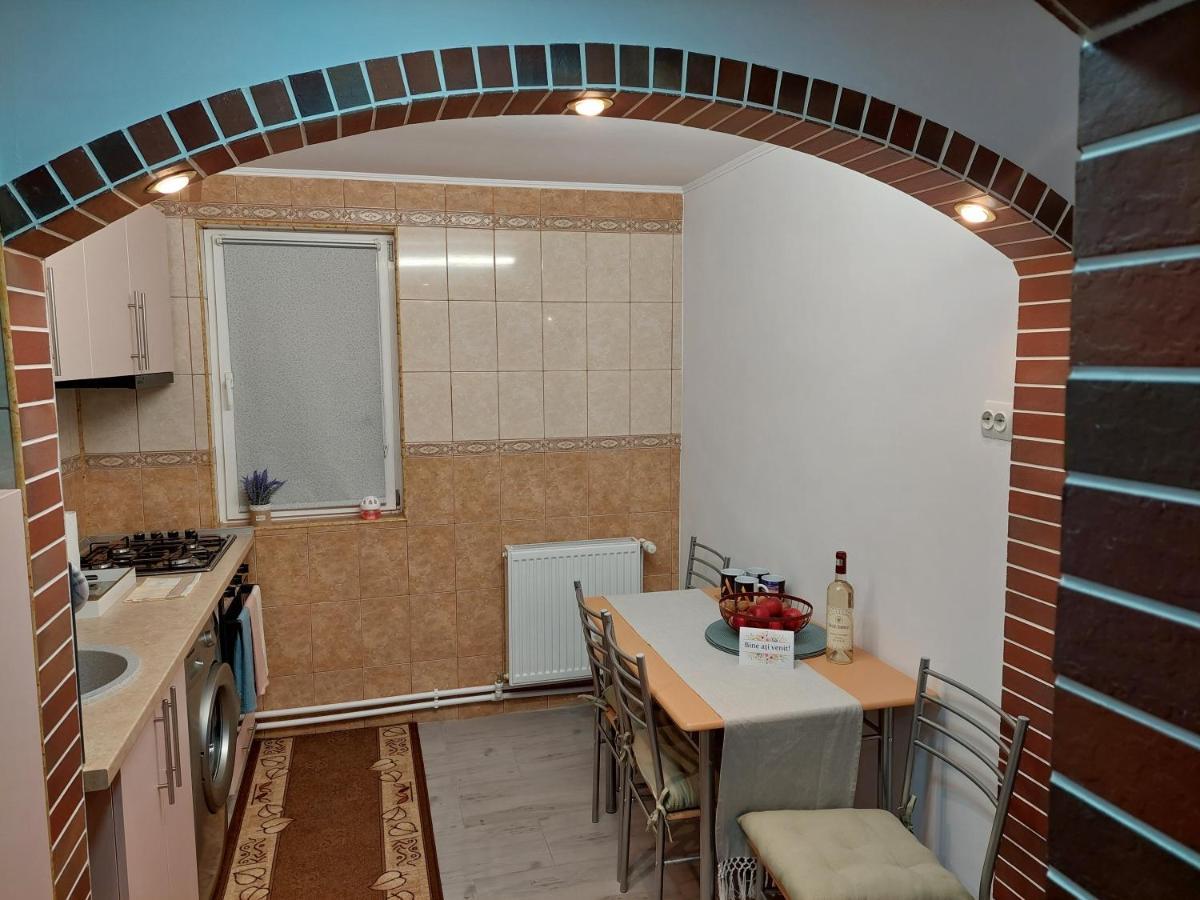 1St Apartment Nehoiu Extérieur photo